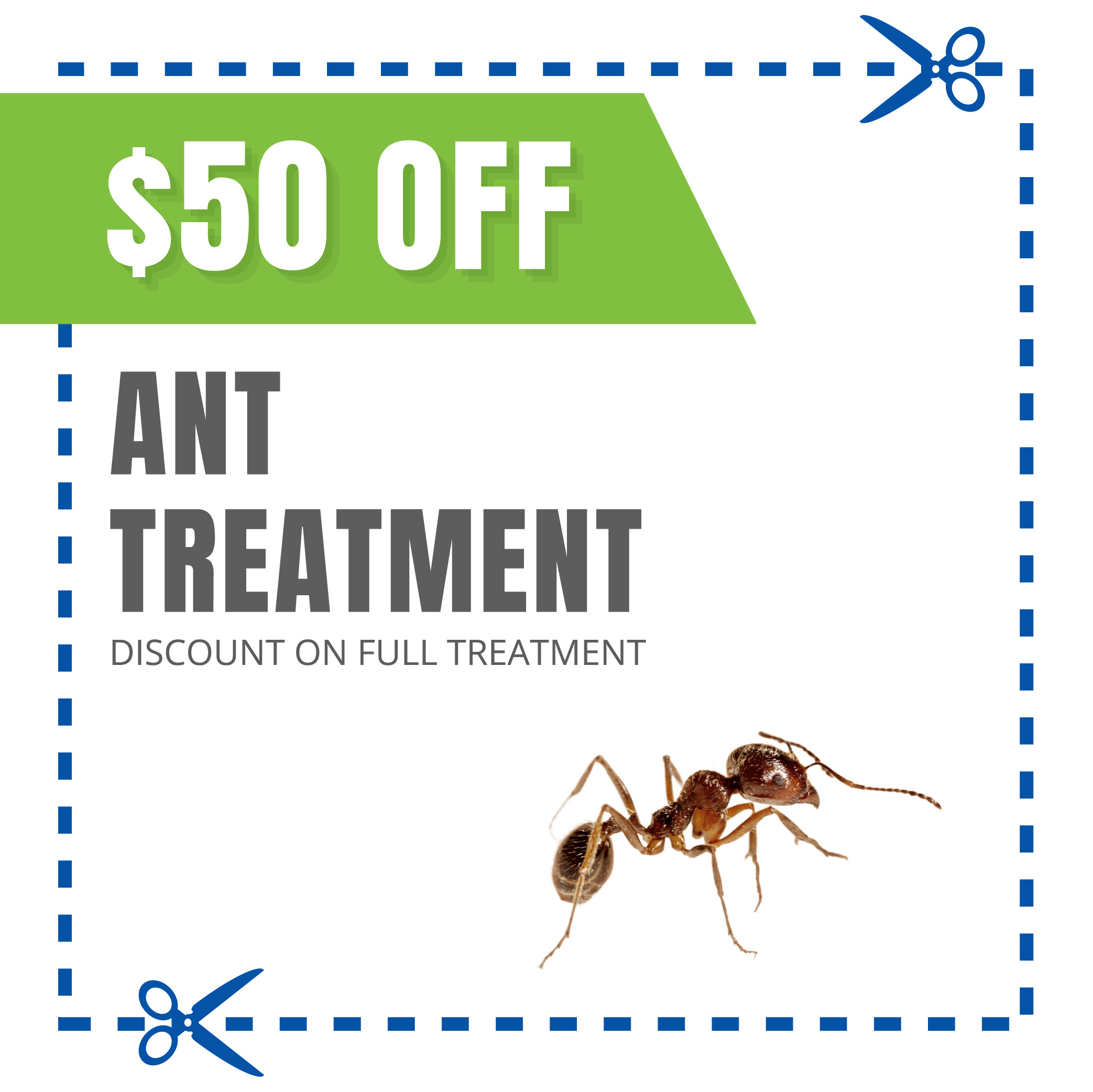 coupon