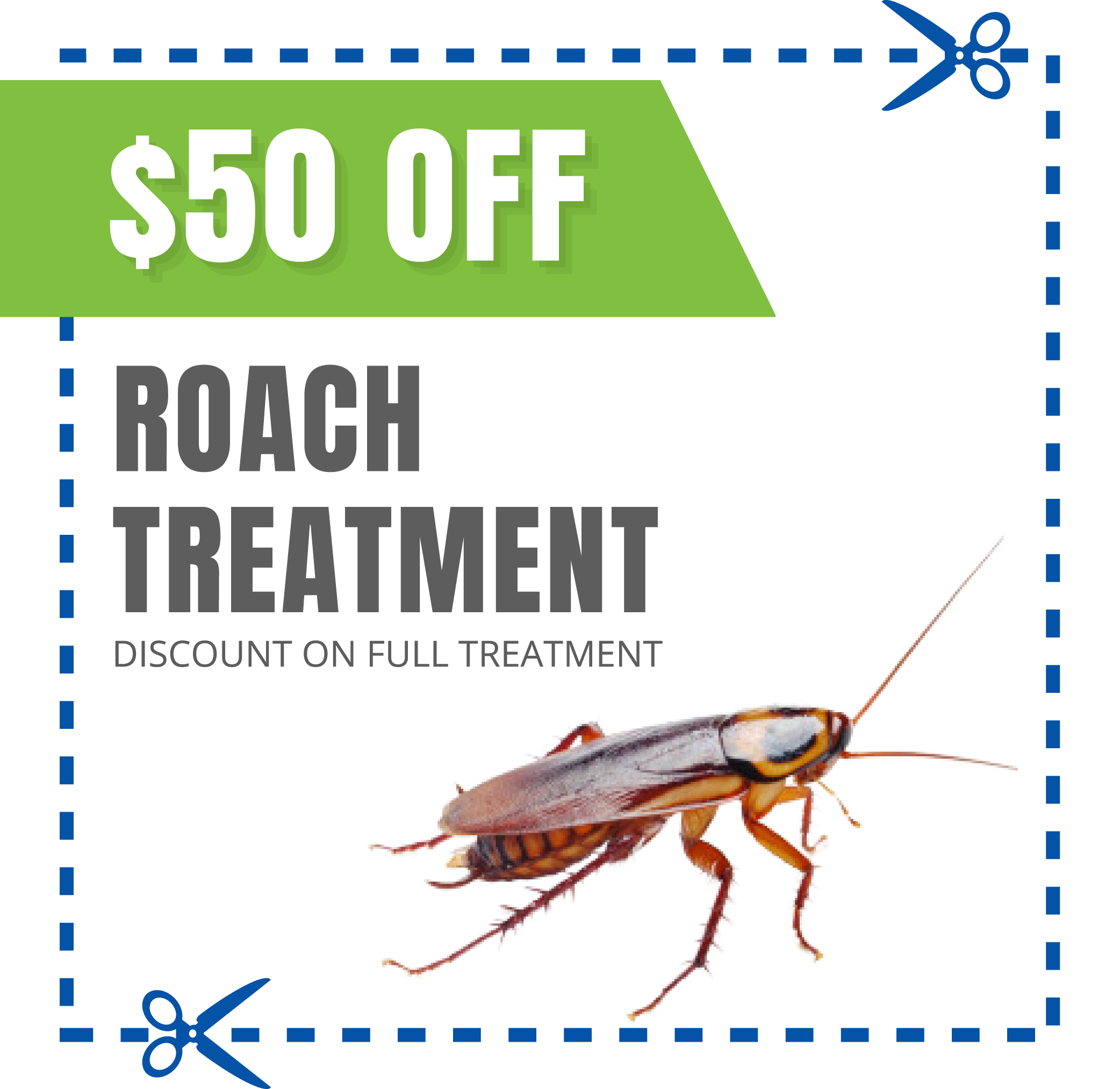 coupon