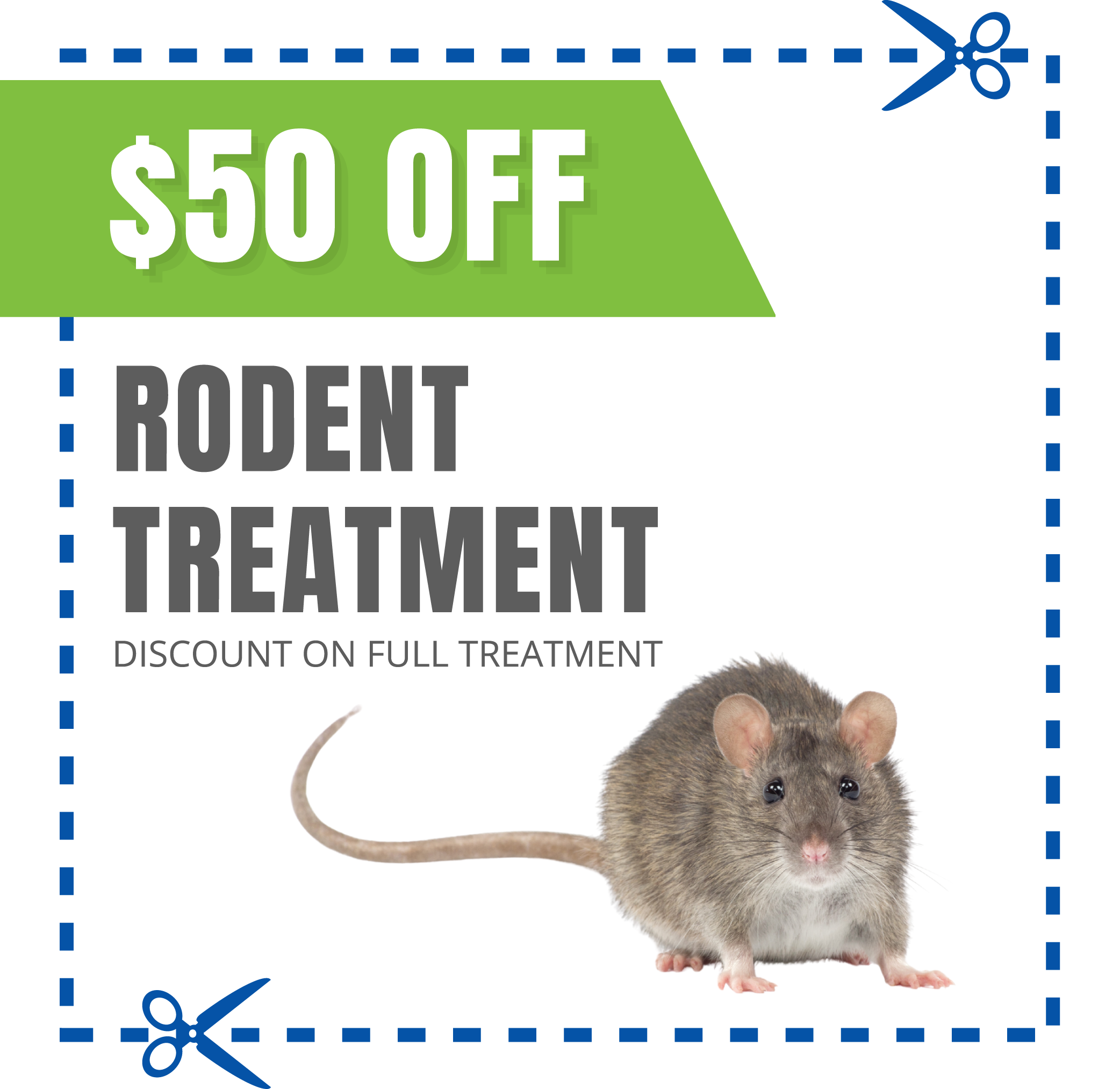 coupon