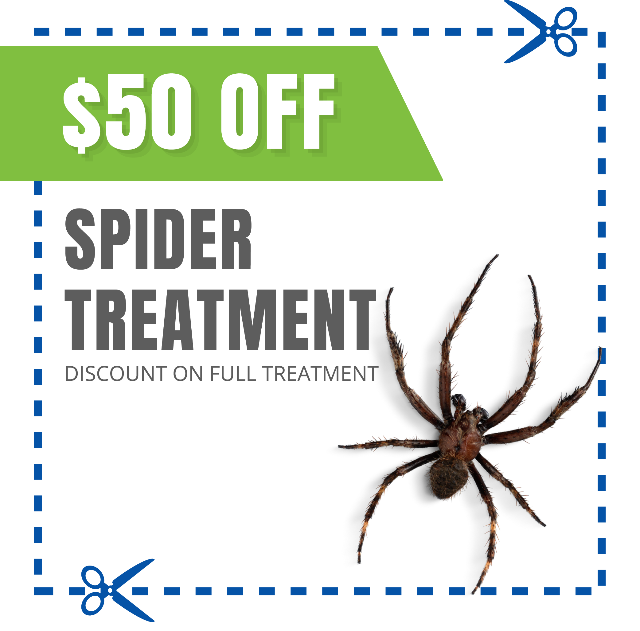 coupon