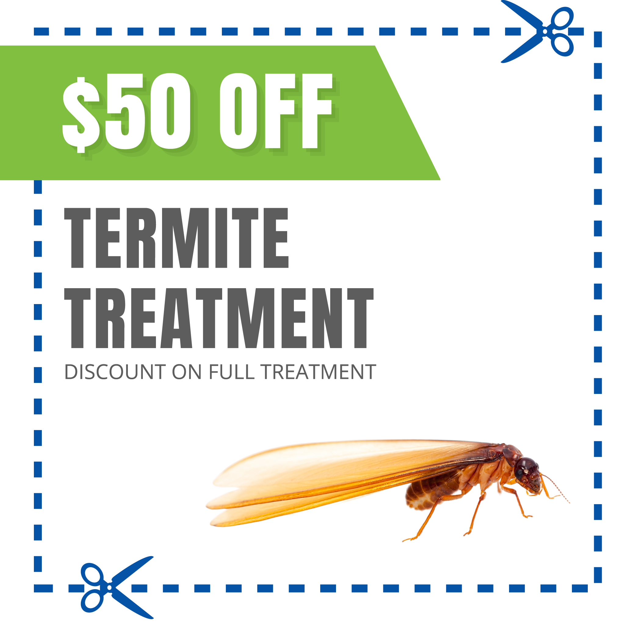 coupon