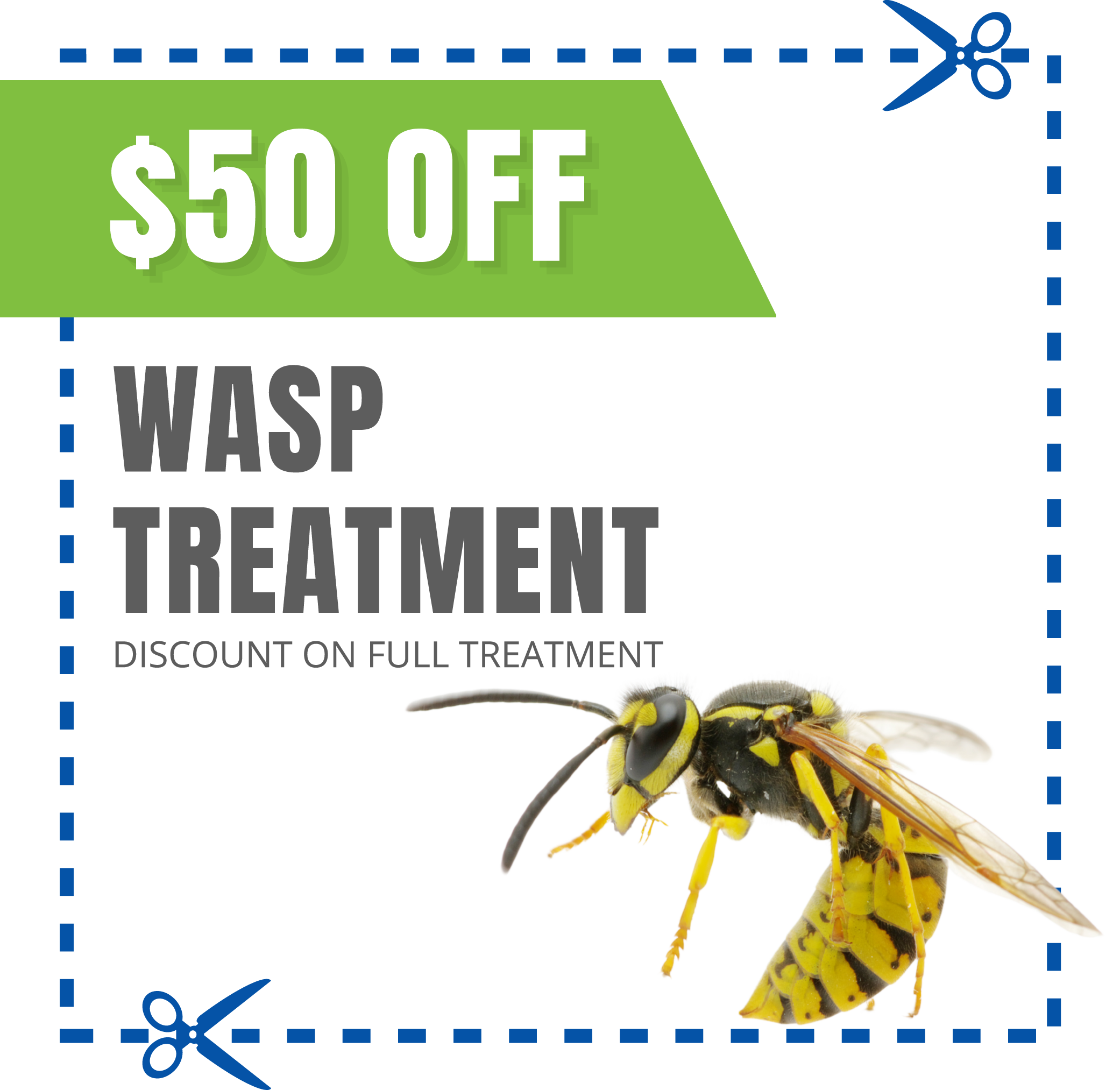 coupon